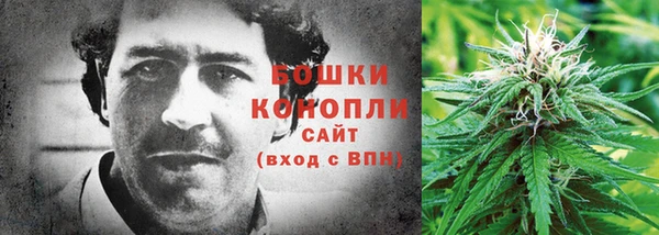 гидра Новокубанск