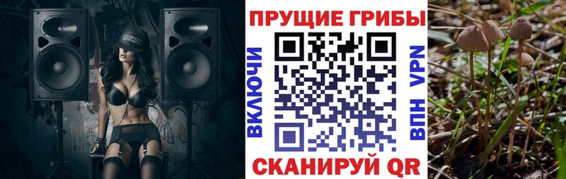 кракен маркетплейс  Дербент  Галлюциногенные грибы ЛСД 